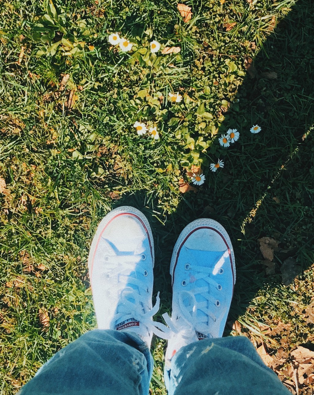 thế giới tươi đẹp ôm trọn lấy&nbsp;em