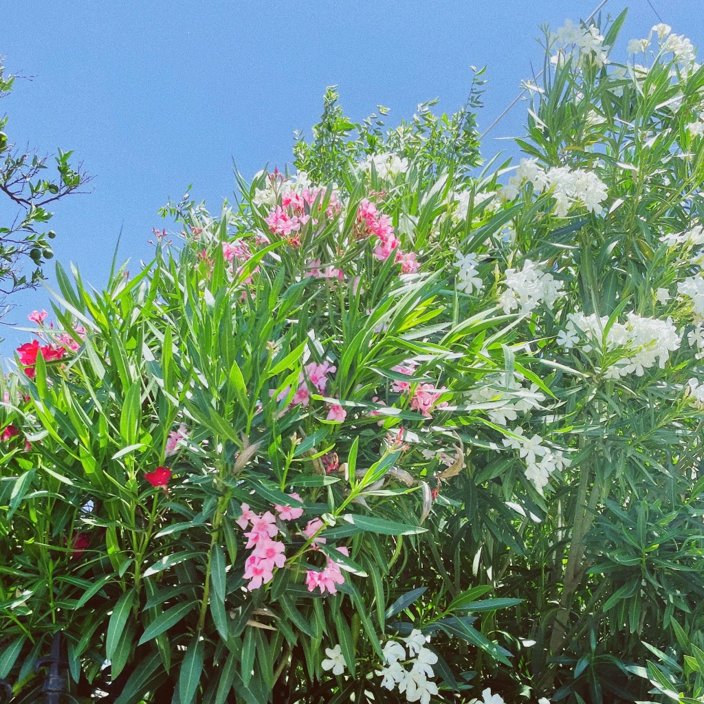 Trời xanh, em đi tìm một linh hồn tự&nbsp;do.