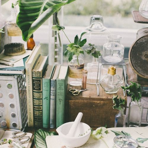 ♥︎ The Love Hypothesis| Chương 2: Tin đồn lan như lửa&nbsp;cháy