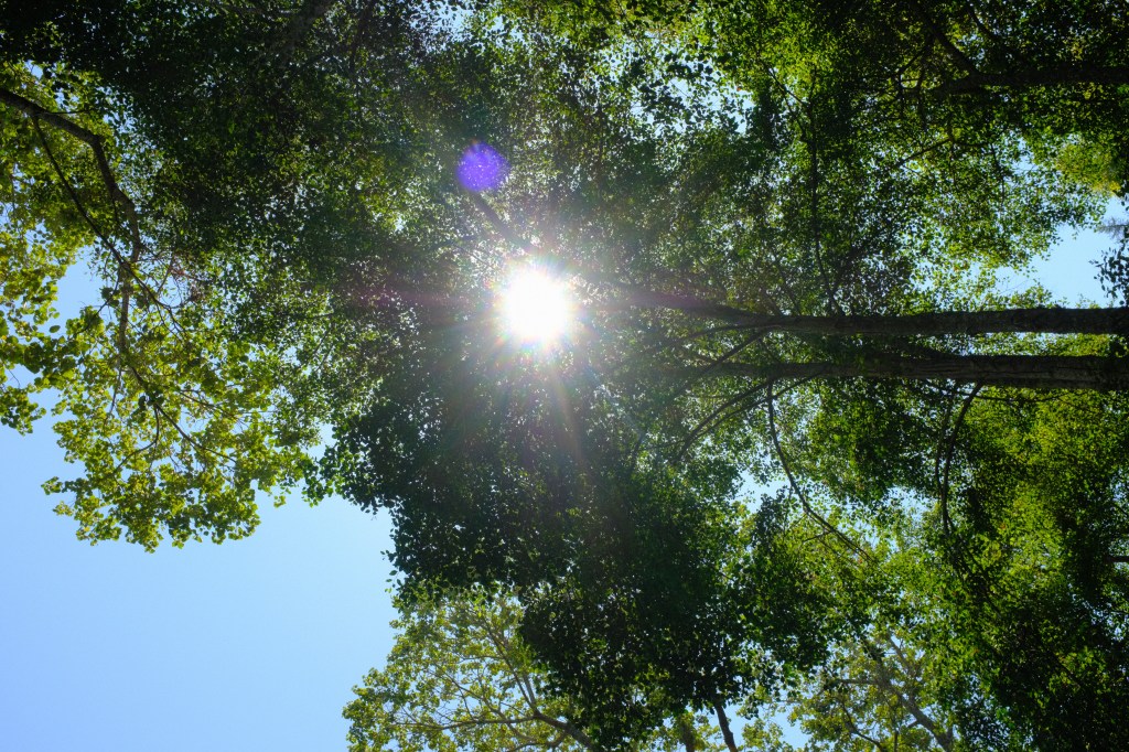 hồi ức mùa hè năm 17 tuổi ngồi sau lưng&nbsp;ba